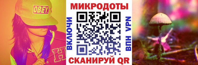 цены наркотик  Будённовск  блэк спрут маркетплейс  Псилоцибиновые грибы прущие грибы 