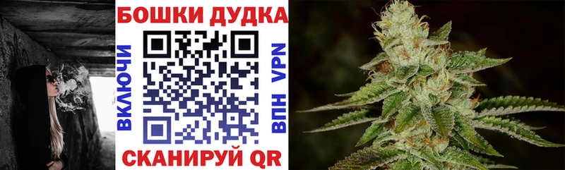 kraken как войти Будённовск Каннабис White Widow